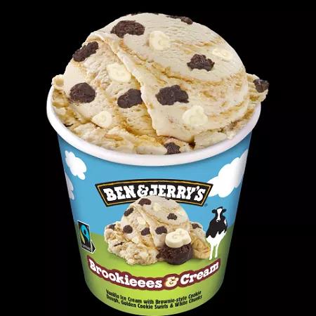 Ben & Jerry's brookieees & cream  465 ml